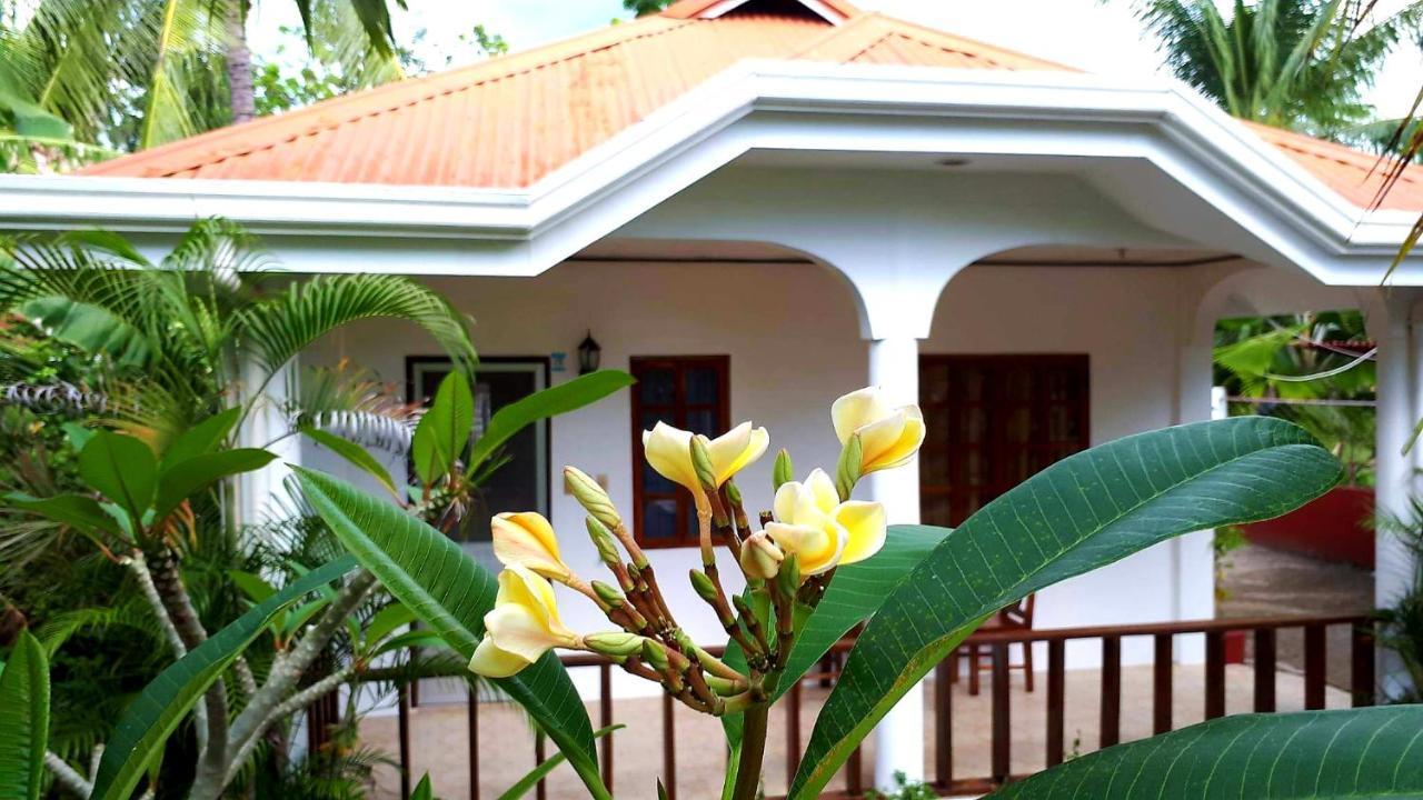 Palmera Palma Private 1-Br Bungalow In Moalboal Exteriér fotografie